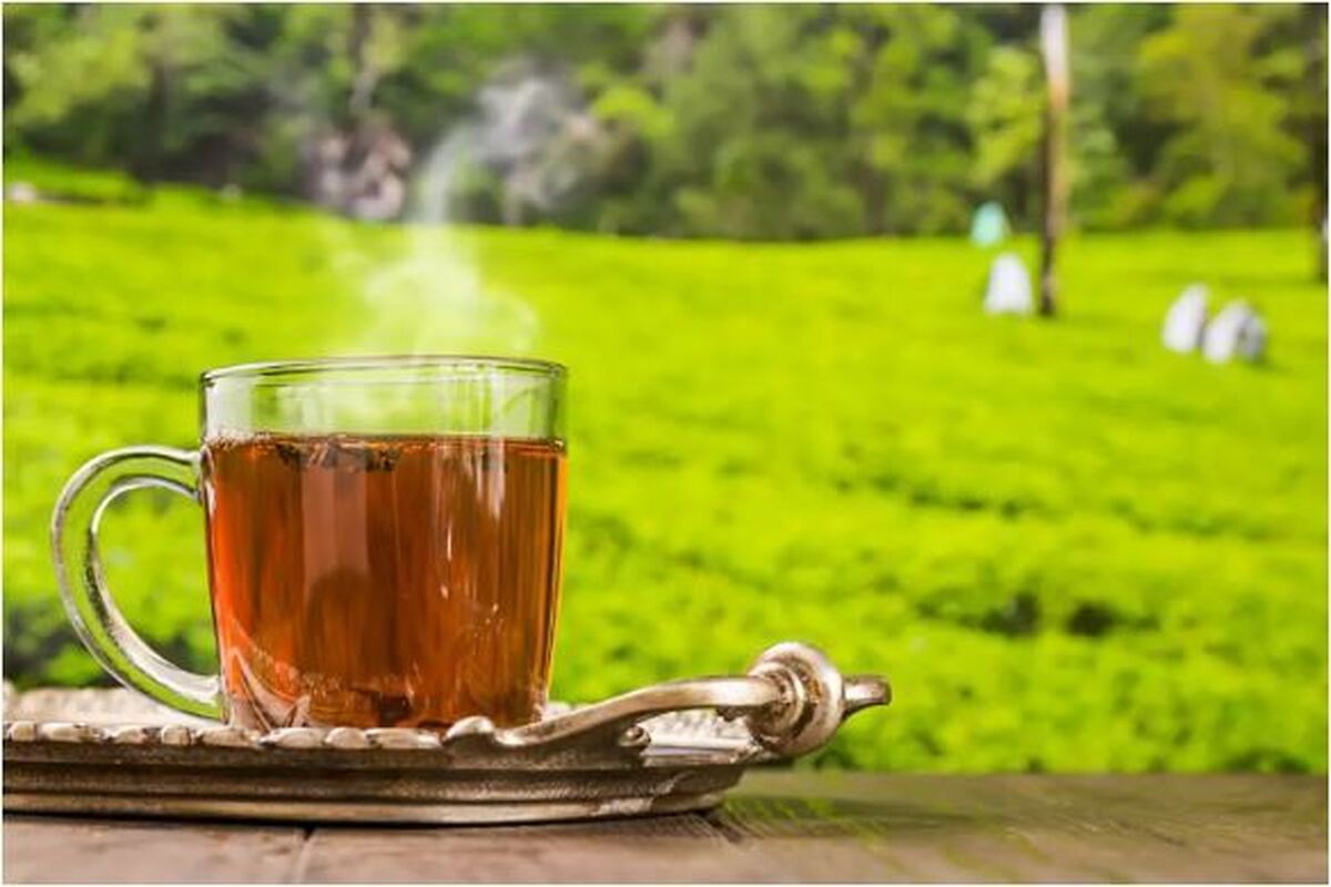 این نوشیدنی پر طرفدار بر جذب آهن چه تاثیری می‌گذارد؟