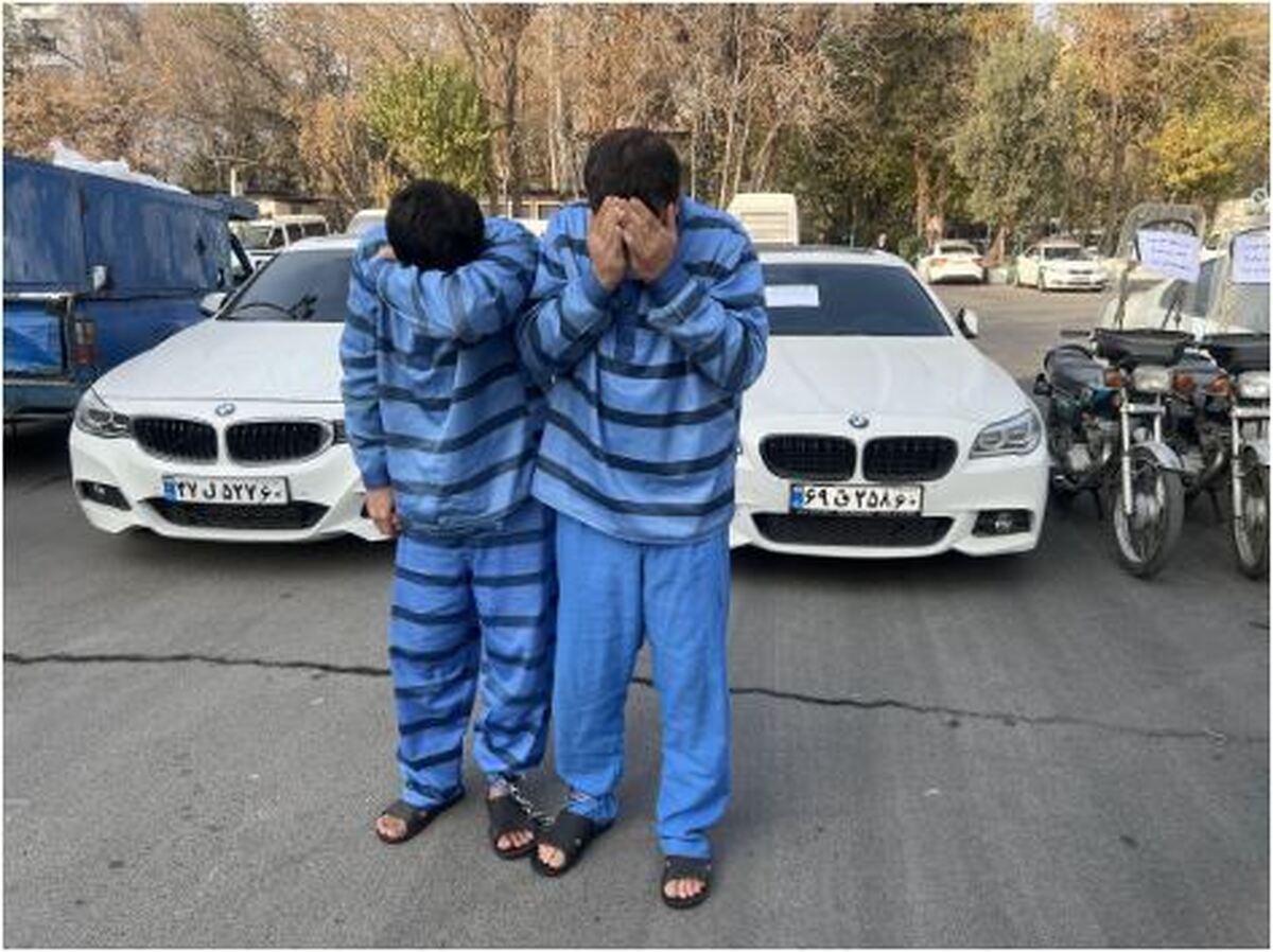 ۵۵ باند سرقت گسترده در تهران شناسایی و منهدم شدند