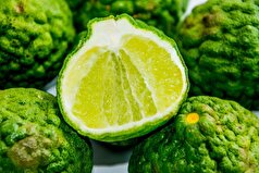 دانشمندان کشف کرده‌اند که ترنج می‌تواند از بیماری کبد چرب جلوگیری کند.