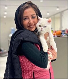 استوری بامزه نفیسه روشن از گربه نژاد دار و زیبایش با لباس مخصوص پلوخوری! +عکس