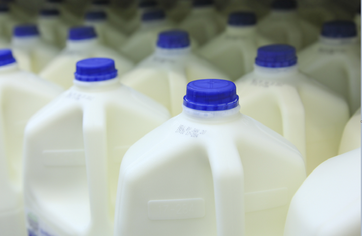 هزاران گالن شیر به دلیل احتمال آلودگی به مواد شوینده از بازار‌های آمریکا جمع‌آوری شد