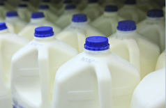 هزاران گالن شیر به دلیل احتمال آلودگی به مواد شوینده از بازار‌های آمریکا جمع‌آوری شد