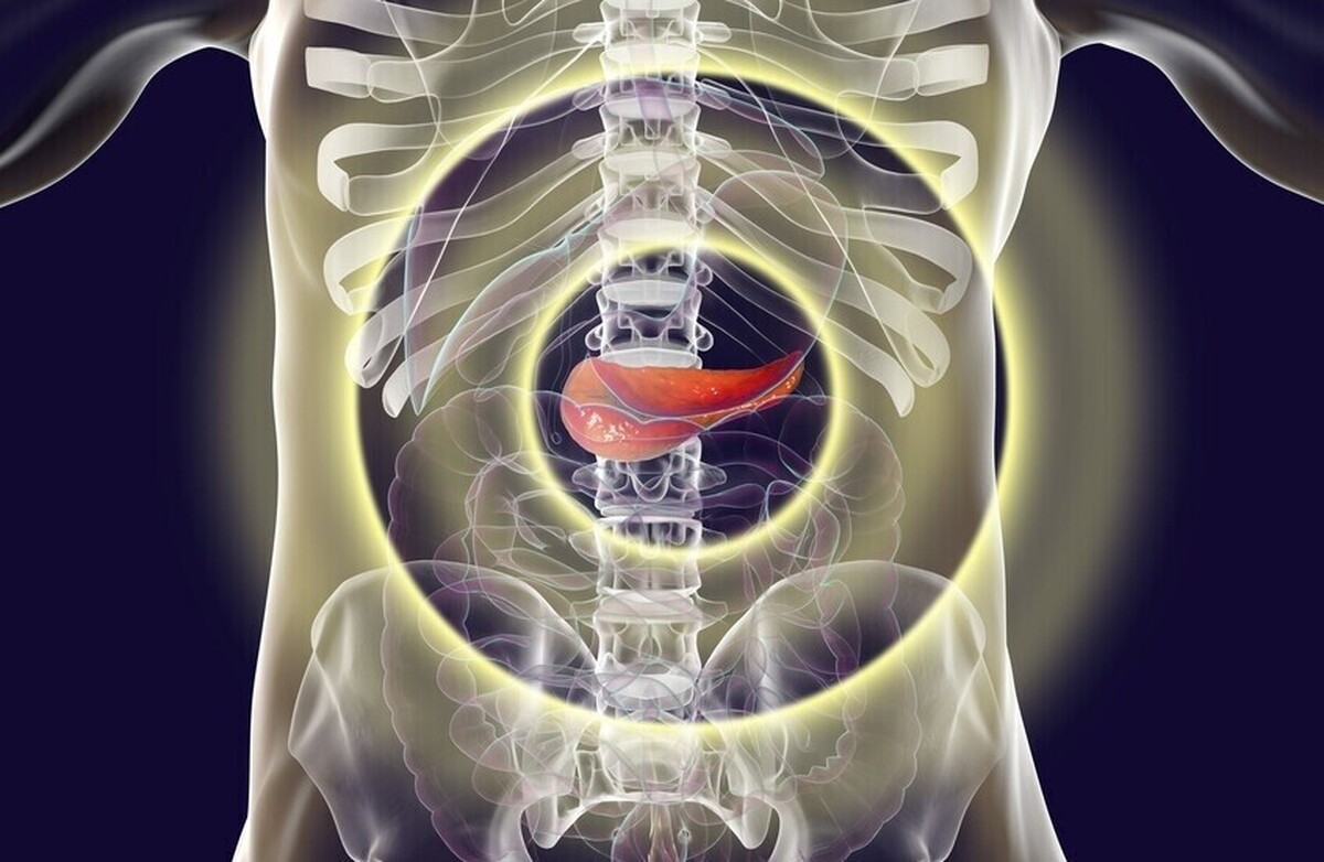 سه عادت صبحگاهی که به لوزالمعده فشار می‌آورد و خطر ابتلا به دیابت را افزایش می‌دهد