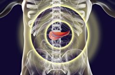 سه عادت صبحگاهی که به لوزالمعده فشار می‌آورد و خطر ابتلا به دیابت را افزایش می‌دهد