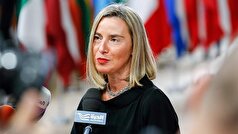 پوشکوف دستگیری موگرینی را ضربه‌ای به اعتبار کمیسیون اروپا دانست.