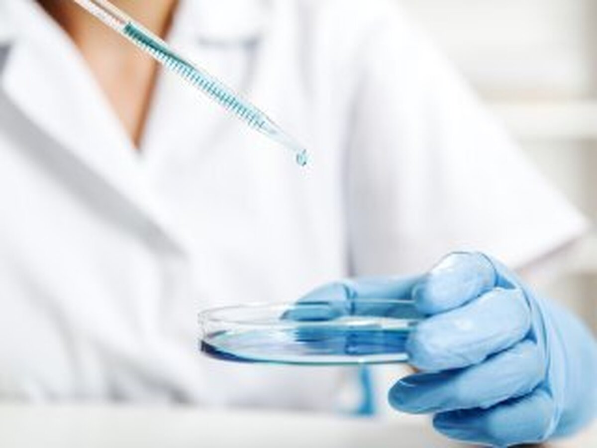 آنتی‌بادی‌های ساخته‌شده در آزمایشگاه، درمان بالقوه‌ای برای تب زرد ارائه می‌دهند