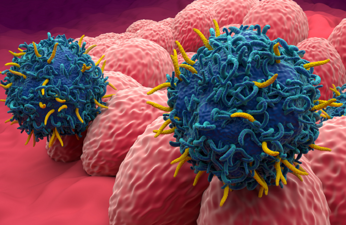 کشف نقش مهم ورزش در کاهش رشد تومور