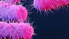 راهی تازه برای مقابله با انگل‌ها با کمک میکروب‌های تک‌سلولی!