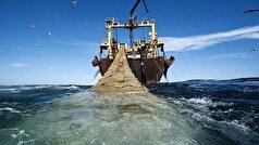 توقیف ۲ شناور غیرمجاز ترال در جاسک