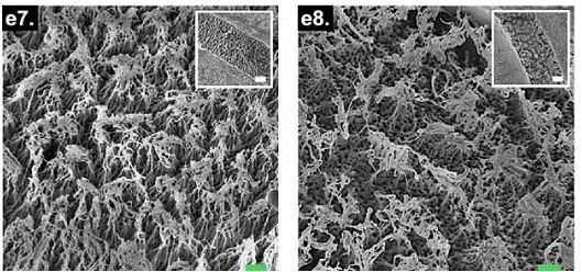 تیرهترین پارچه جهان؛ مشابه یک سیاهچال ابدی ساخته شد! تیرهترین پارچه جهان؛ مشابه یک سیاهچال ابدی ساخته شد!