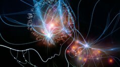 یک دانشمند اظهار داشت که آگاهی پیش از زمان و مکان پدید آمده است.