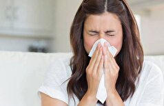 بین «آنفولانزای شدید» و شایعات مربوط به «ویروس جدید» ... کارشناسان مصری بحث را در این کشور حل و فصل می‌کنند