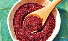 سماق؛ ادویه‌ای با فواید بیشمار که از آن غافل‌اید!