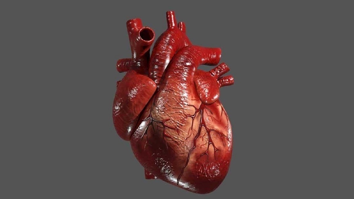 با مصرف منظم این مواد غذایی پیری قلب را به تعویق بیاندازید