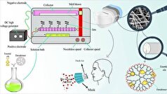 اختراع «لایه‌های نانوفیبری با قابلیت رهایش کنترل شده» در خارج از کشور ثبت شد