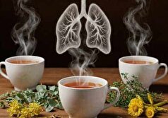 معرفی چند دمنوش گیاهی جادویی برای در امان ماندن از آلودگی هوا