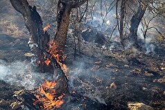 عملیات مهار آتش در منطقه نراب جیرفت رو به پایان است