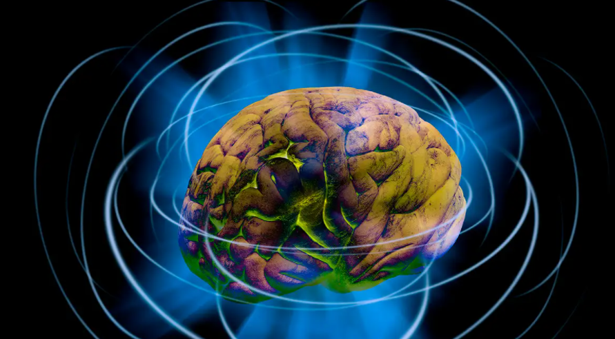 نظریه بحثبرانگیز یک فیزیکدان درباره «آگاهی» و آنچه پس از مرگ رخ میدهد نظریه بحثبرانگیز یک فیزیکدان درباره «آگاهی» و آنچه پس از مرگ رخ میدهد