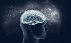 تجربه‌های تله‌پاتی و نزدیک به مرگ با یک نظریه جدید قابل توضیح می‌شود