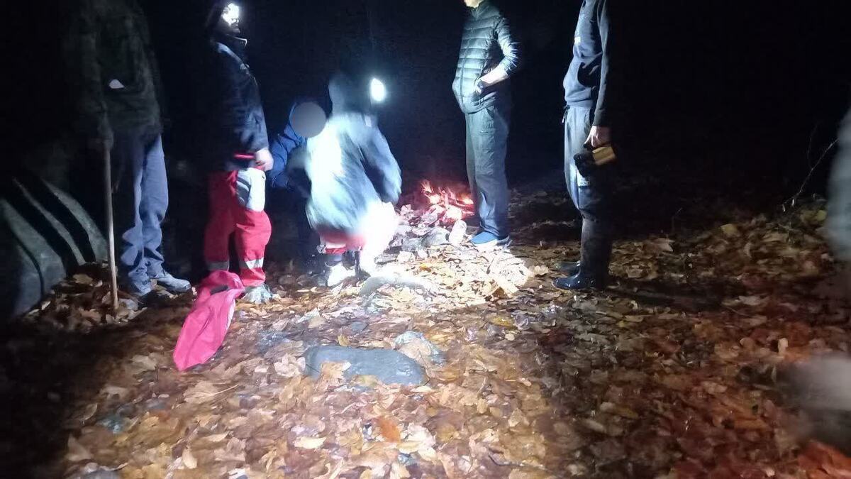 نجات فرد گمشده و مصدوم در جنگل‌های ساری