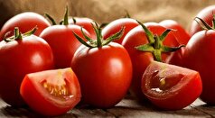 بررسی خواص و زیان‌های گوجه فرنگی از دیدگاه طب سنتی