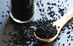 «سیاه دانه»، راه حلی طبیعی برای کنترل کلسترول خون