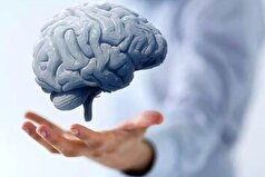 ۶ فایده باور نکردنی ترکیب خوشمزه تخم مرغ و فلفل سیاه