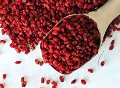 چرا نباید در مصرف «زرشک» زیاده روی کنیم؟