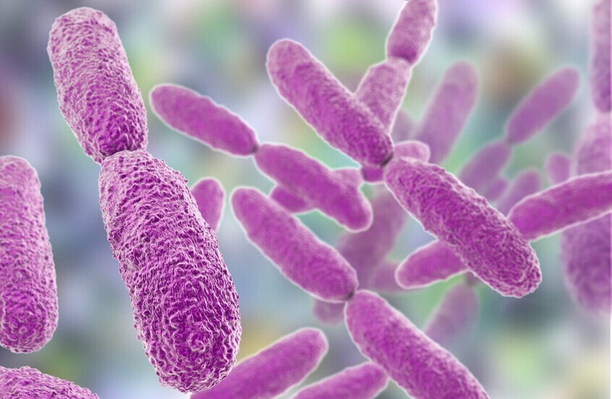 یک آزمایش جدید روسی می‌تواند باکتری‌های مقاوم به آنتی‌بیوتیک خطرناک را تشخیص دهد