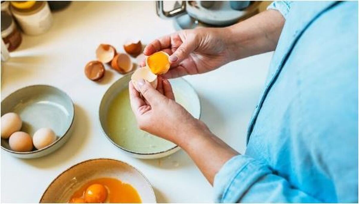 چرا باید تخم مرغ را در غذای روزانه بگنجانیم