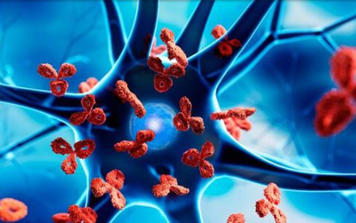 سیستم ایمنی میتواند علیه بدن فعالیت کند!