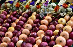 چرا و چگونه باید روزانه پیاز مصرف کرد؟