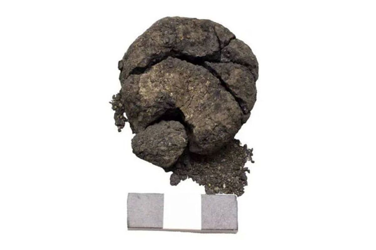 دانشمندان ترکیه‌ای دستور پخت یک نان ۳۰۰۰ ساله را بازسازی کردند.