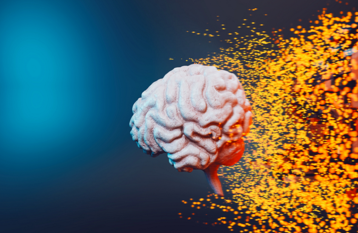 میان وعده‌ای روزانه که حافظه را در عرض چهار ماه بهبود می‌بخشد!