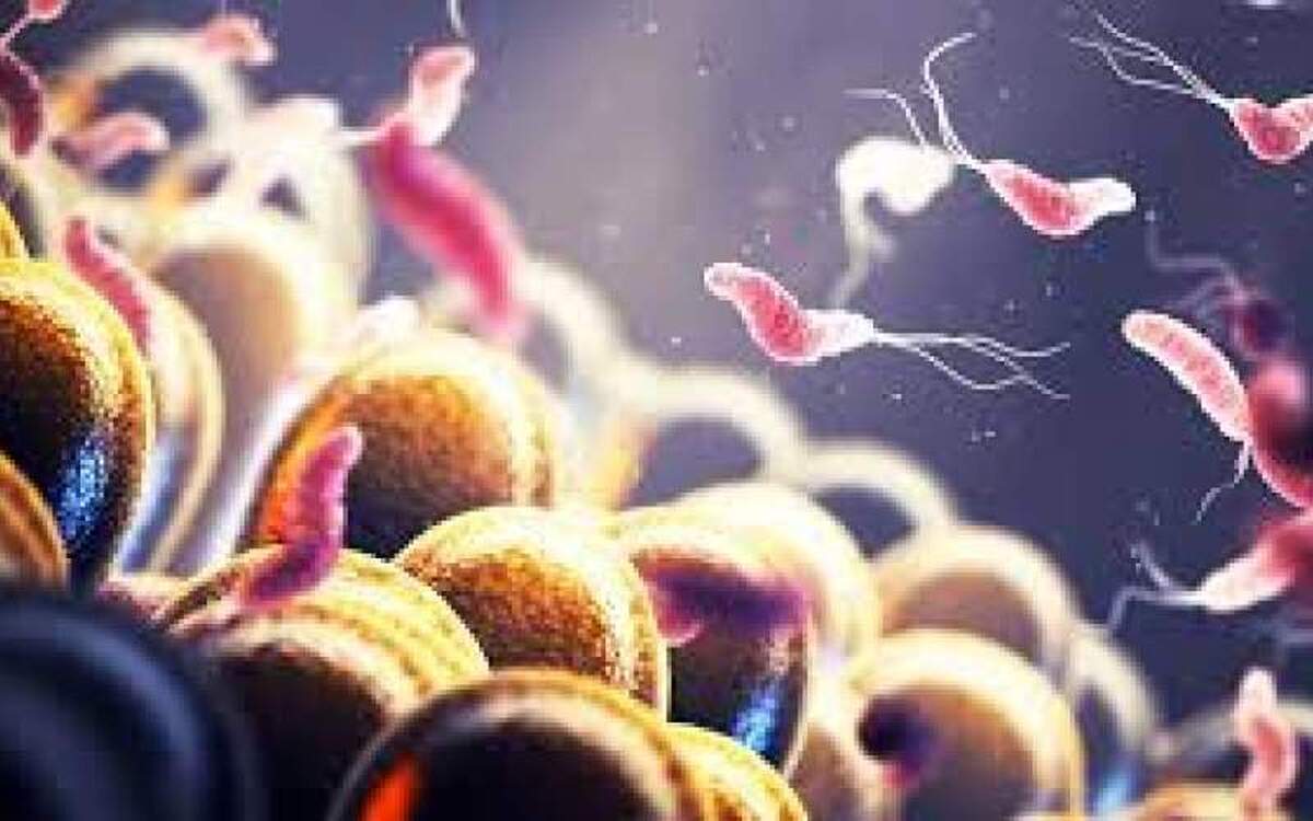 میکروبیوم روده تاثیرگذار در ابتلا به سرطان!