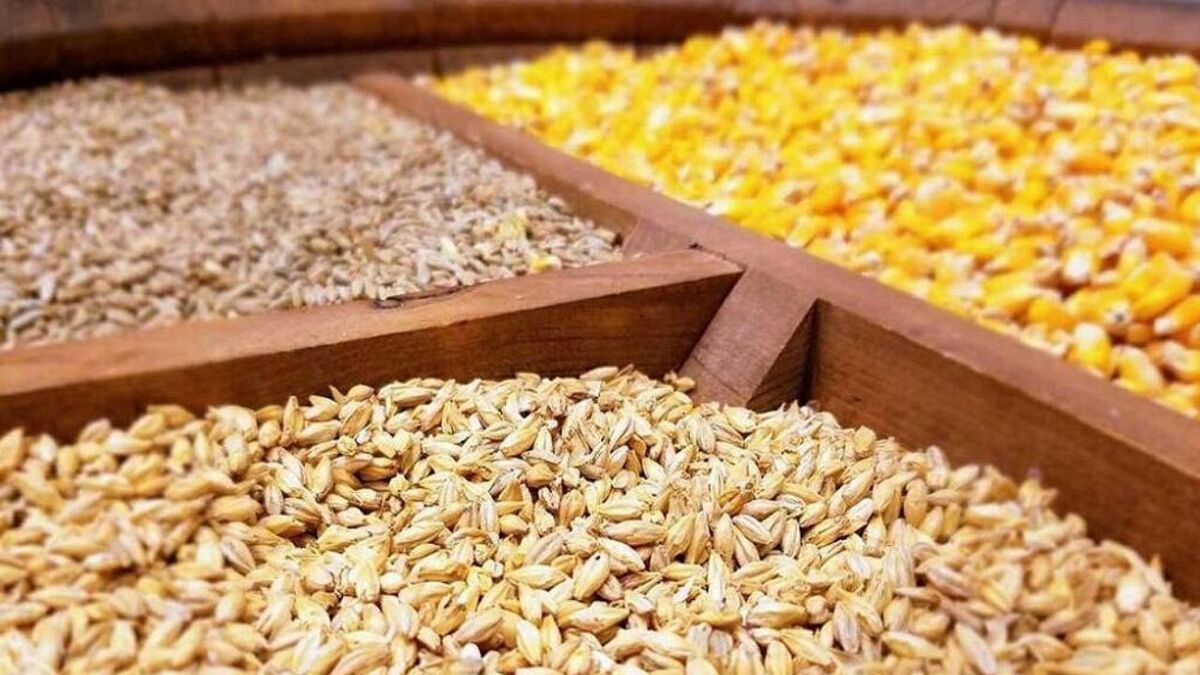 عوامل توزیع نهاده به‌دنبال برهم زدن جو بازار هستند