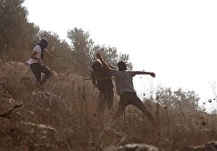 سازمان ملل: شهرک‌نشینان روزانه ۵ بار به کرانه باختری یورش می‌برند