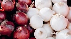 ممانعت مرزبانان از خروج ۱۶ تن پیاز قاچاق