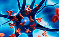 سیستم ایمنی میتواند علیه بدن فعالیت کند!