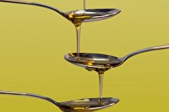 مصرف روزانه روغن زیتون و تاثیری که بر بدن دارد