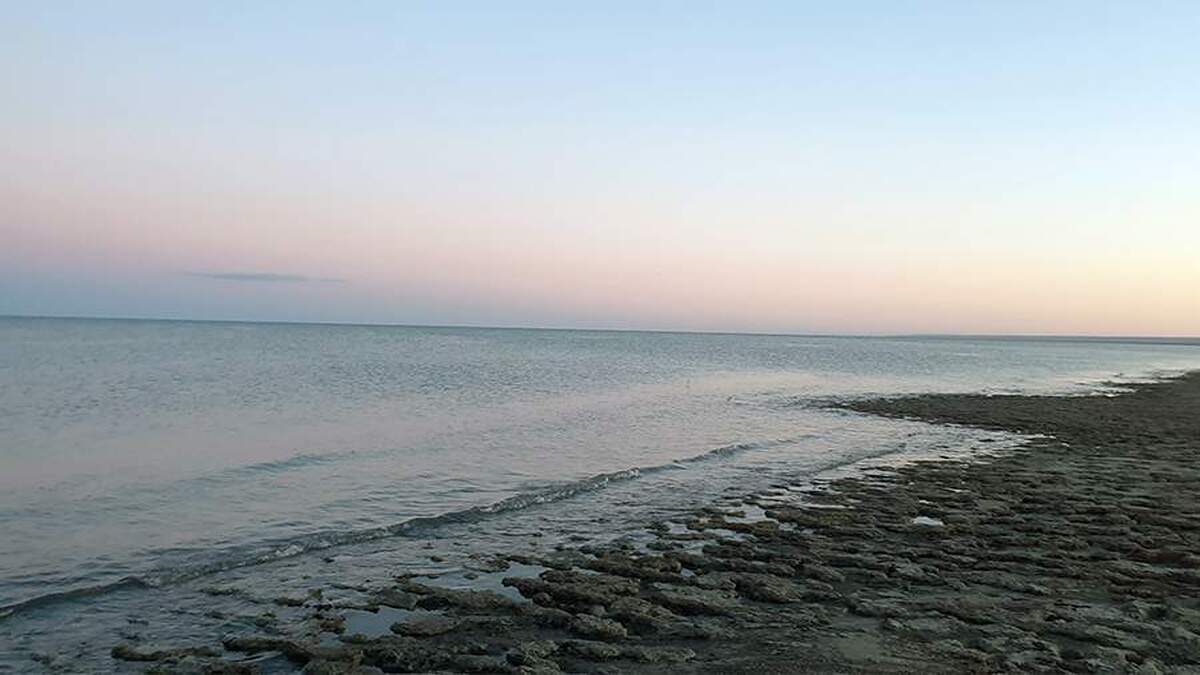 شورای امنیت روسیه بر اهمیت گسترش همکاری با آسیای مرکزی تأکید کرد.