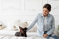 پزشکان توضیح دادند که چرا نباید حیوانات خانگی را به رختخواب خود راه دهید.