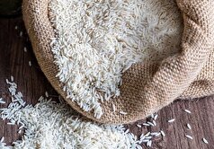 ارز ترجیحی واردات برنج حذف شد