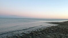 شورای امنیت روسیه بر اهمیت گسترش همکاری با آسیای مرکزی تأکید کرد.