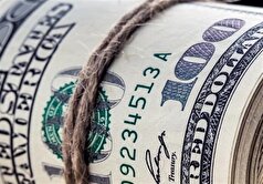 اقتصاد دلار در ایران