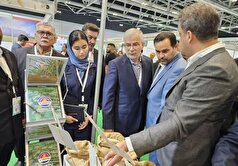 روایت فرصت‌های تازه همکاری با عمان در نمایشگاه بین‌المللی اگروفود مسقط