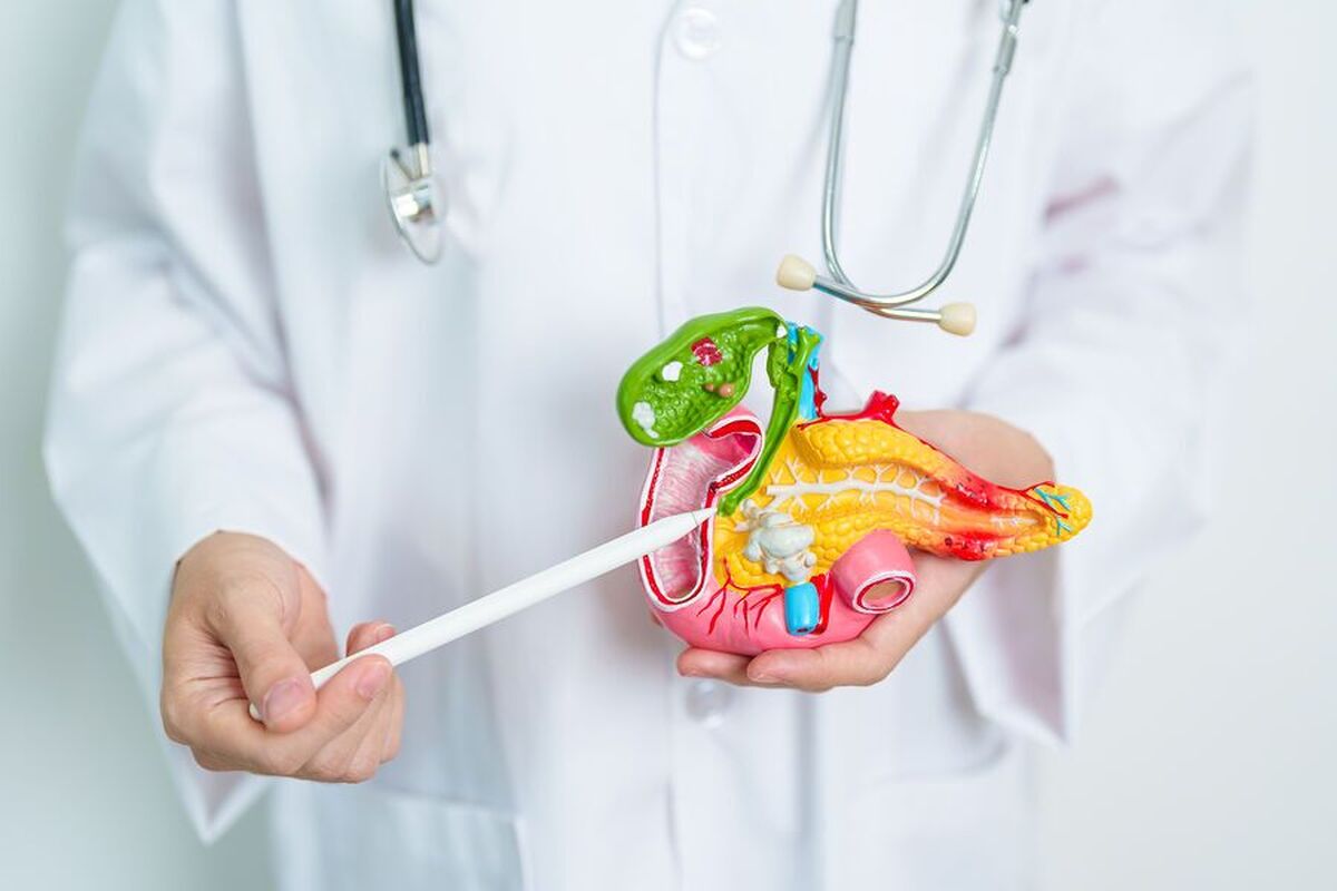 پنج عادت روزمره که بی سر و صدا پانکراس را نابود می‌کنند، نامگذاری شده‌اند.