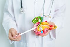 پنج عادت روزمره که بی سر و صدا پانکراس را نابود می‌کنند، نامگذاری شده‌اند.