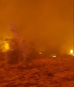 حریق گسترده در نیزار‌های اطراف تصفیه‌خانه یزد؛ علت حادثه همچنان نامشخص