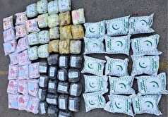 دستگیری قاچاقچیان ۱۱ درصد افزایش یافت